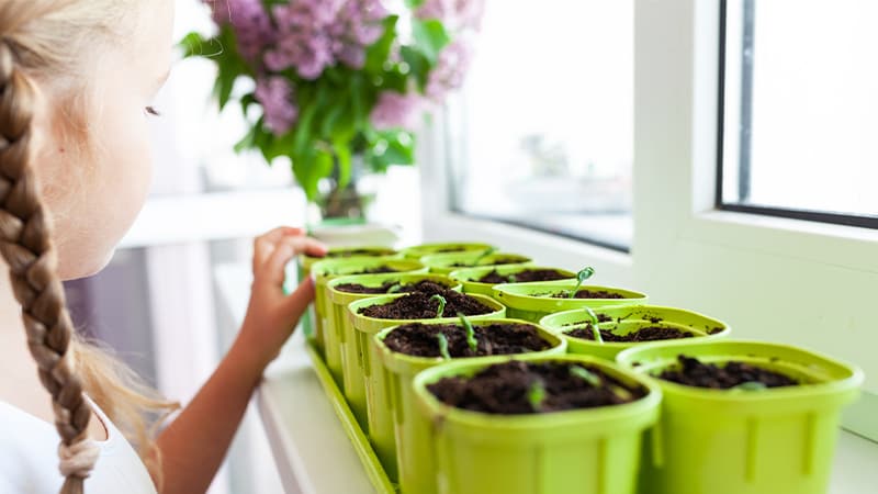 PB_Make a Kitchen Herb Garden with Your Kids