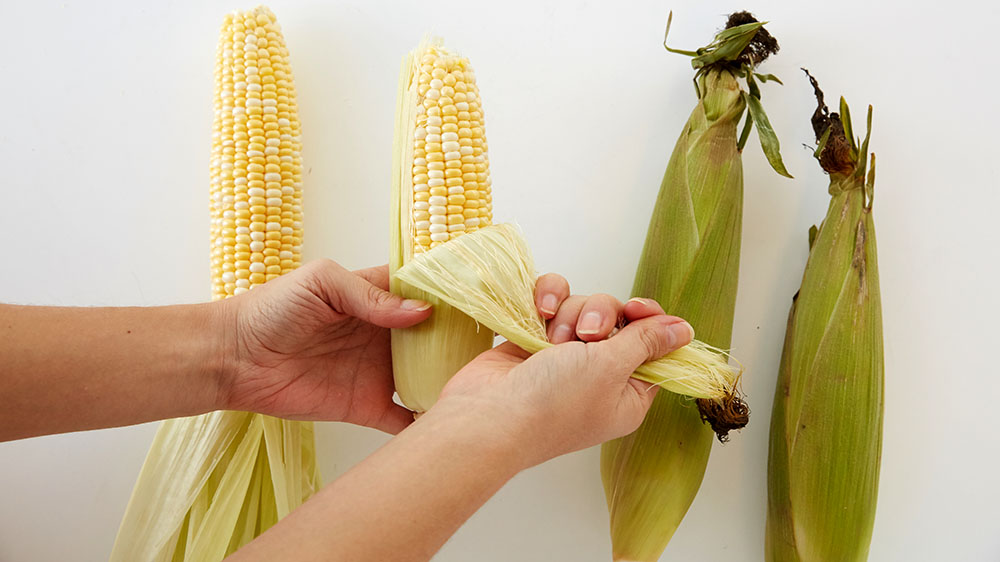 Grab the tassel along with the tops of the last layer of leaves and pull down.